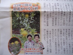 紅花がつなぐ絆 大阪府SC富田林